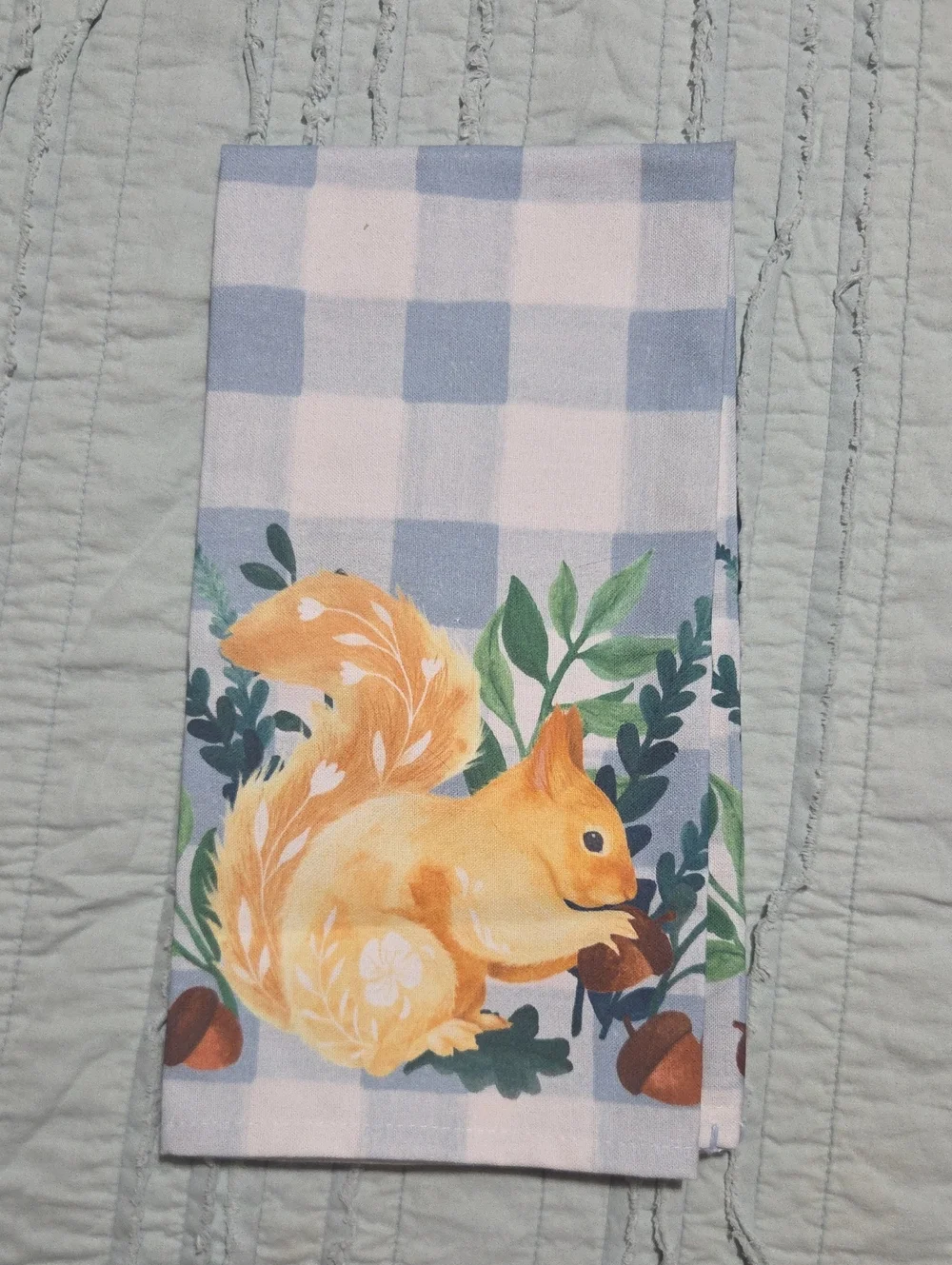 Anthropologie Squirrel Check Dishtowel
